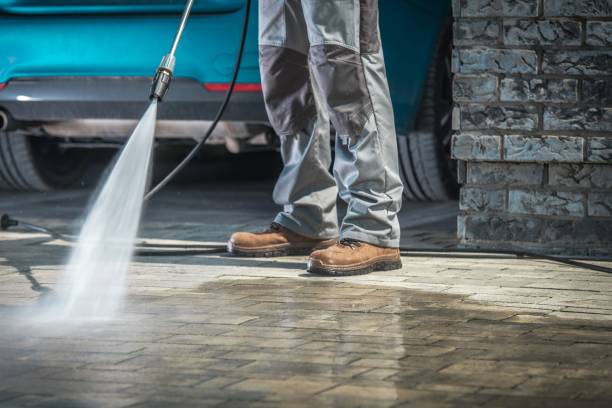 Best Soft Washing  in Cedar Bluff, VA