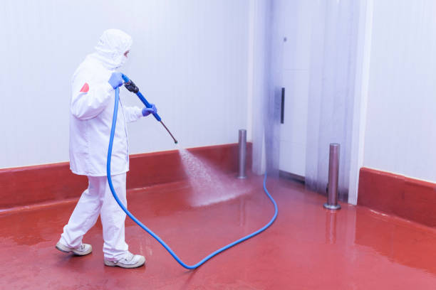 Best Graffiti Removal  in Cedar Bluff, VA