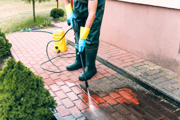 Best Solar Panel Cleaning  in Cedar Bluff, VA