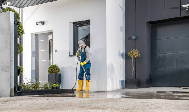 Best Sidewalk and Walkway Cleaning  in Cedar Bluff, VA